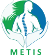 metis logo